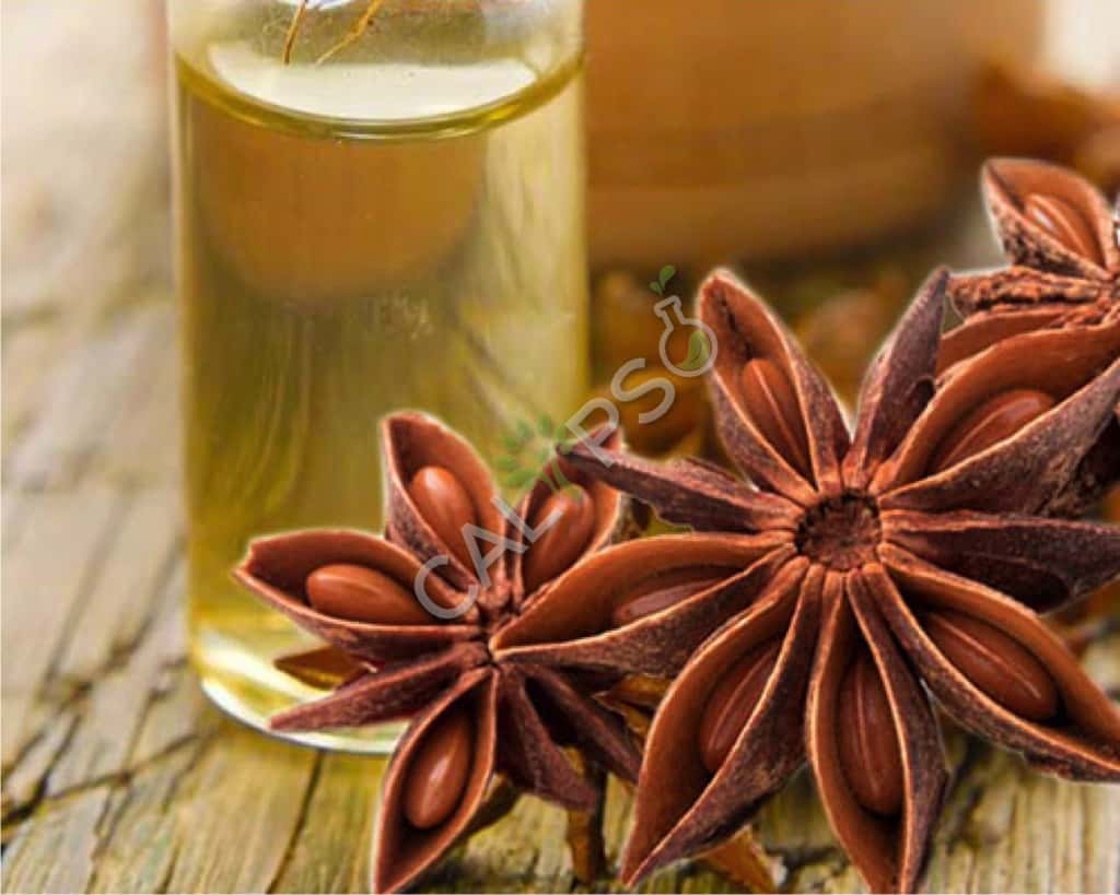 Anise Natural Essential Oil